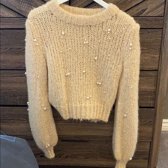 100% Cashmere Le Fou Aritzia sweater